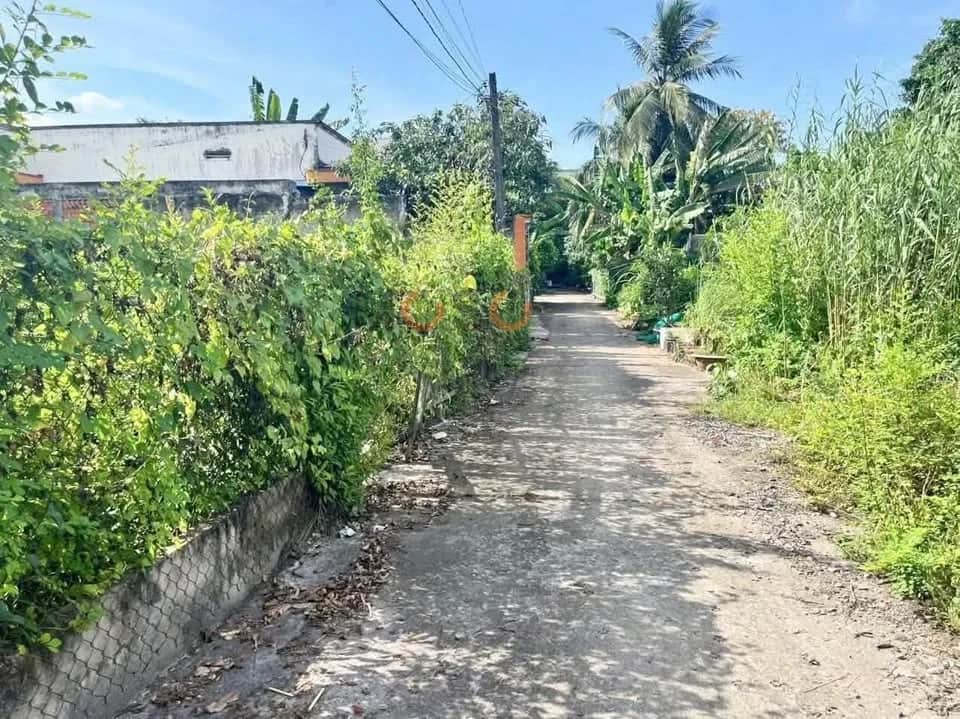 Bán đất hẻm 386 Quốc Lộ 62, khu phố Bình Cư 1 Thành phố Tân An, Long An – giá 3.3 tỷ Bán đất hẻm 386 Quốc Lộ 62, khu phố Bình Cư 1 Thành phố Tân An, Long An – giá 3.3 tỷ