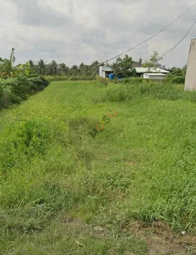 Bán đất Đăng Mỹ Huyện Tân Trụ, Long An – giá 900 triệu Bán đất Đăng Mỹ Huyện Tân Trụ, Long An – giá 900 triệu