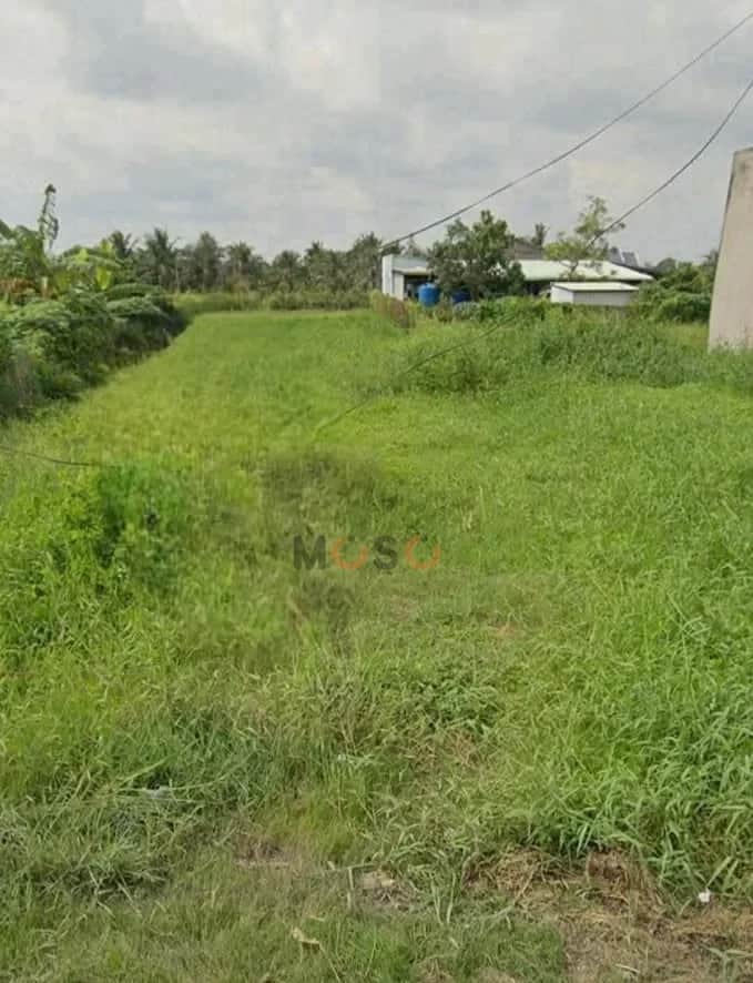 Bán đất Đăng Mỹ Huyện Tân Trụ, Long An – giá 900 triệu Bán đất Đăng Mỹ Huyện Tân Trụ, Long An – giá 900 triệu