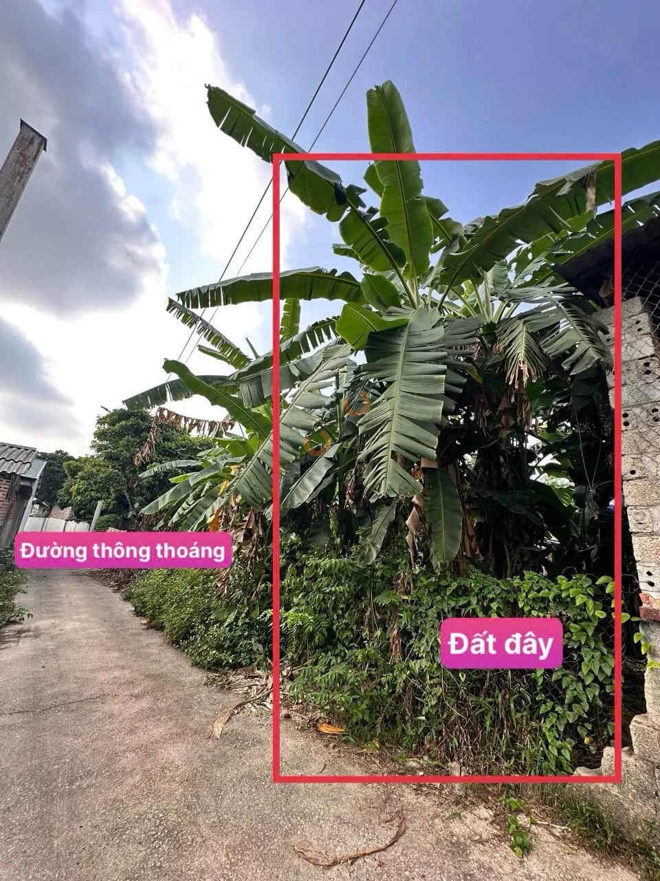 Bán đất Thôn Trại Giềng Huyện Tam Dương, Vĩnh Phúc – giá 680 triệu Bán đất Thôn Trại Giềng Huyện Tam Dương, Vĩnh Phúc – giá 680 triệu