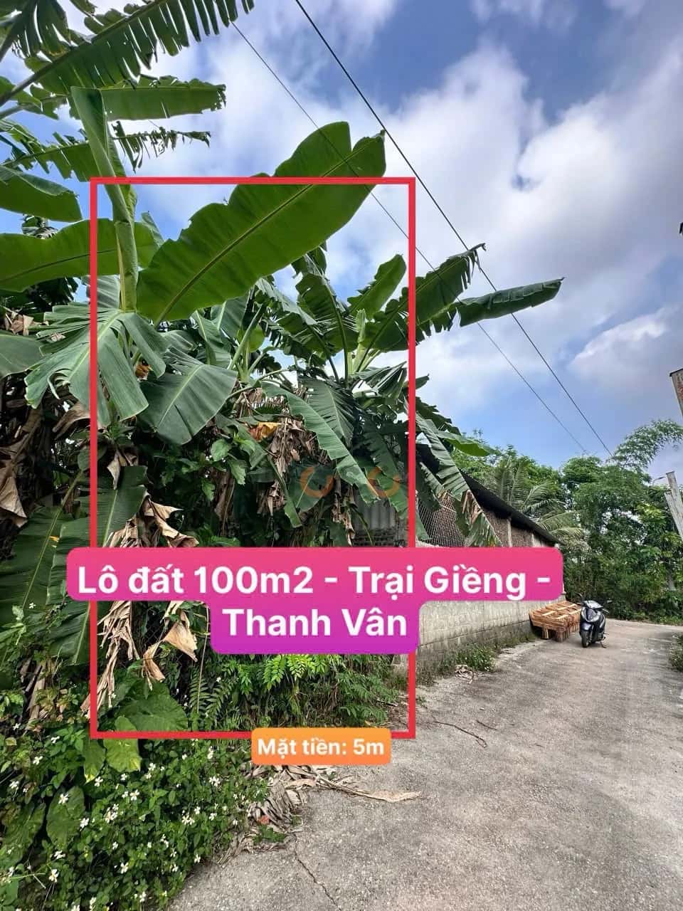 Bán đất Thôn Trại Giềng Huyện Tam Dương, Vĩnh Phúc – giá 680 triệu — Hình 2 Bán đất Thôn Trại Giềng Huyện Tam Dương, Vĩnh Phúc – giá 680 triệu — Hình 2