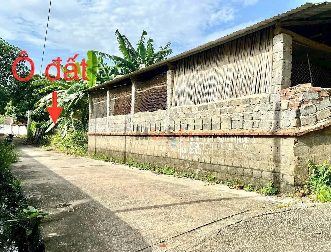 Bán đất Thôn Trại Giềng Huyện Tam Dương, Vĩnh Phúc – giá 680 triệu — Hình 3 Bán đất Thôn Trại Giềng Huyện Tam Dương, Vĩnh Phúc – giá 680 triệu — Hình 3