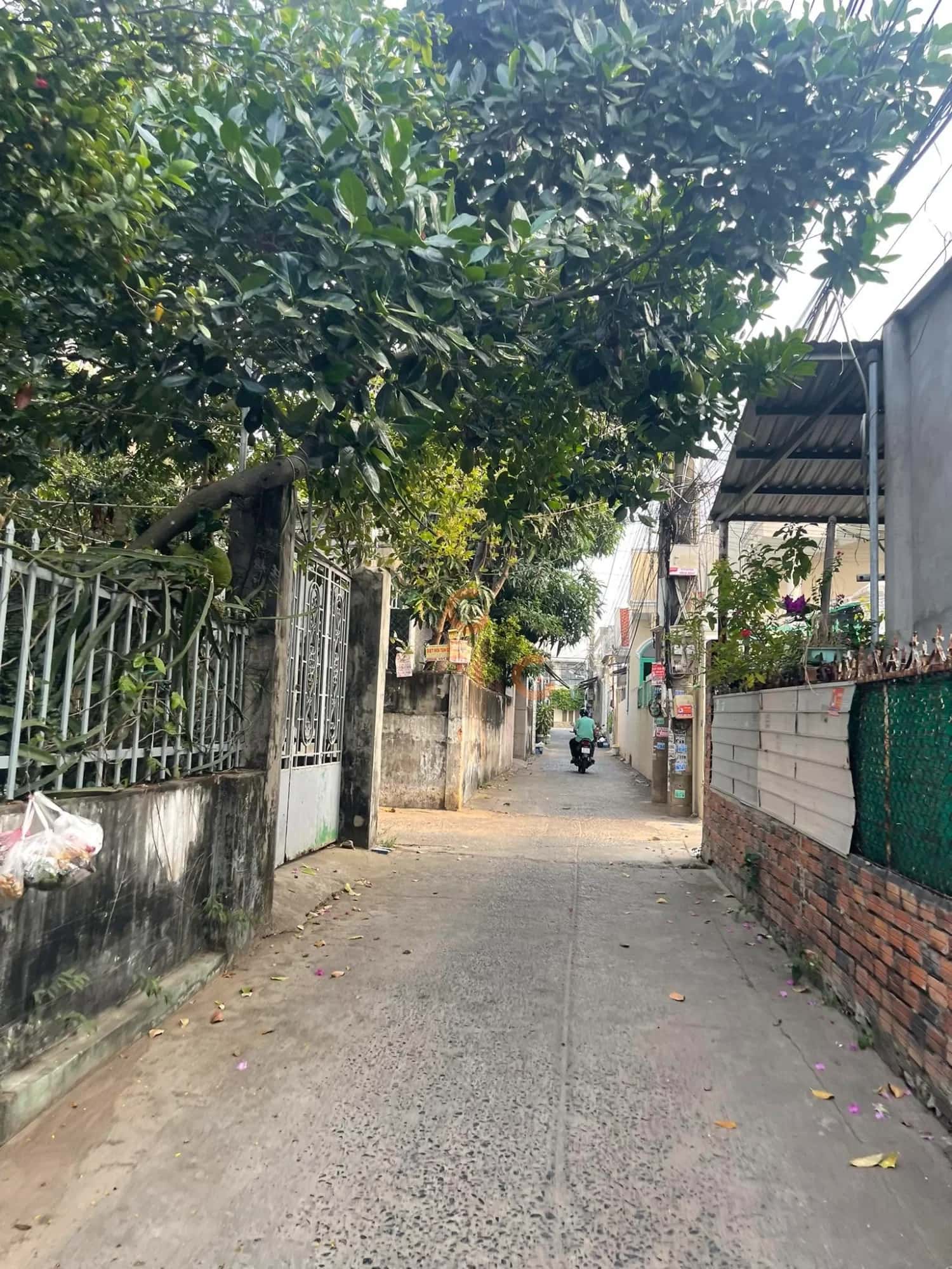 Bán đất Hẻm 1475 đường 30 Tháng 4 Thành phố Vũng Tàu, BRVT – giá 2.9 tỷ — Hình 3 Bán đất Hẻm 1475 đường 30 Tháng 4 Thành phố Vũng Tàu, BRVT – giá 2.9 tỷ — Hình 3