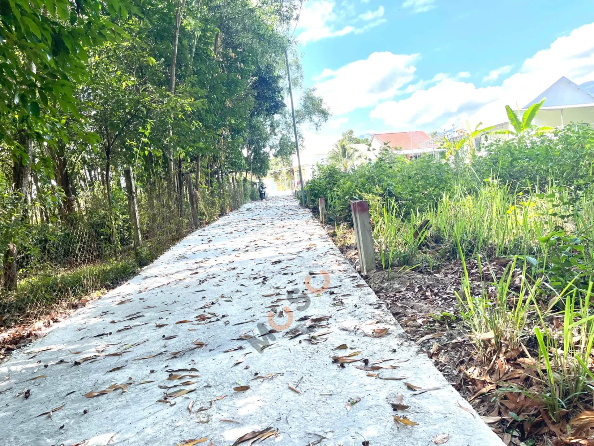 Bán đất Thôn Tân Thành, hẻm đường HL 39 Huyện Diên Khánh, Khánh Hòa – giá 400 triệu Bán đất Thôn Tân Thành, hẻm đường HL 39 Huyện Diên Khánh, Khánh Hòa – giá 400 triệu