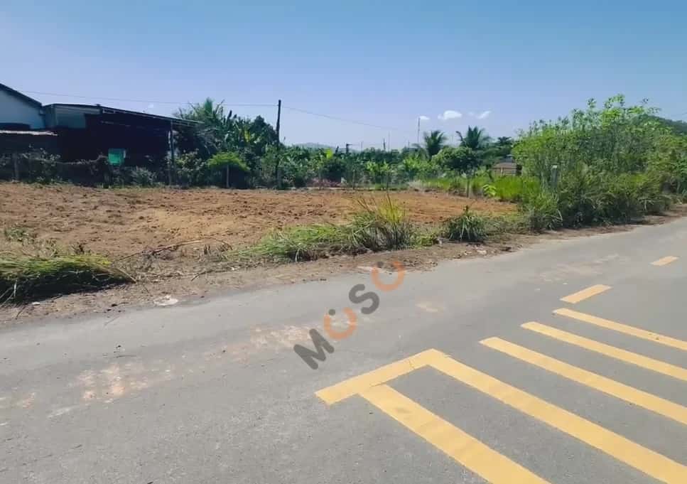 Bán đất hẻm đường Tỉnh Lộ 2 Huyện Diên Khánh, Khánh Hòa – giá 499 triệu — Hình 2 Bán đất hẻm đường Tỉnh Lộ 2 Huyện Diên Khánh, Khánh Hòa – giá 499 triệu — Hình 2