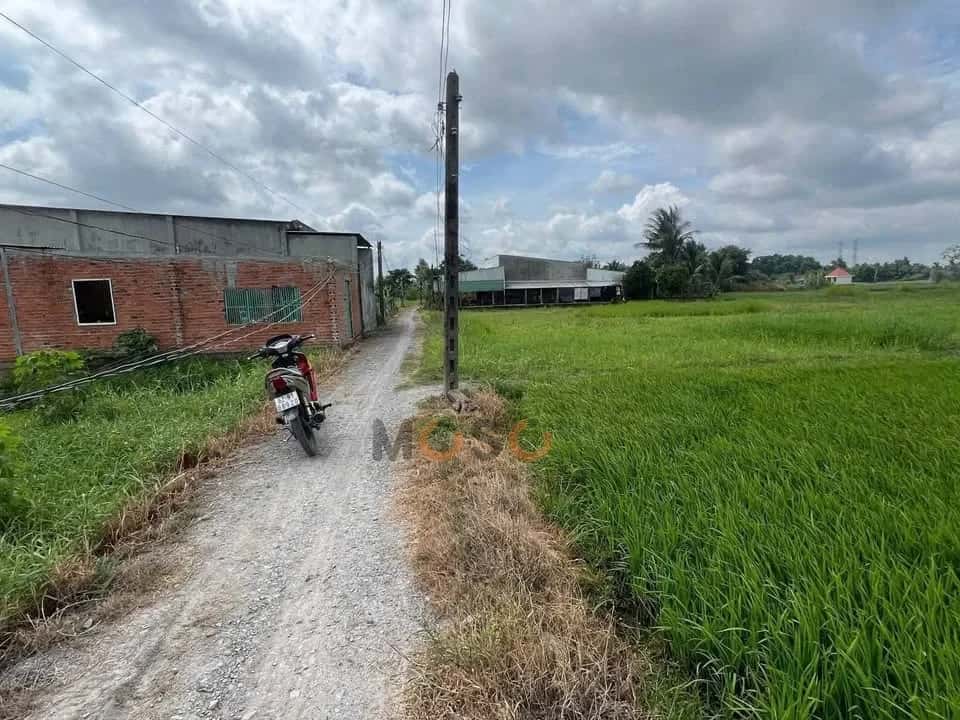 Bán đất ấp Bình Lợi Huyện Đức Hòa, Long An – giá 580 triệu — Hình 2 Bán đất ấp Bình Lợi Huyện Đức Hòa, Long An – giá 580 triệu — Hình 2