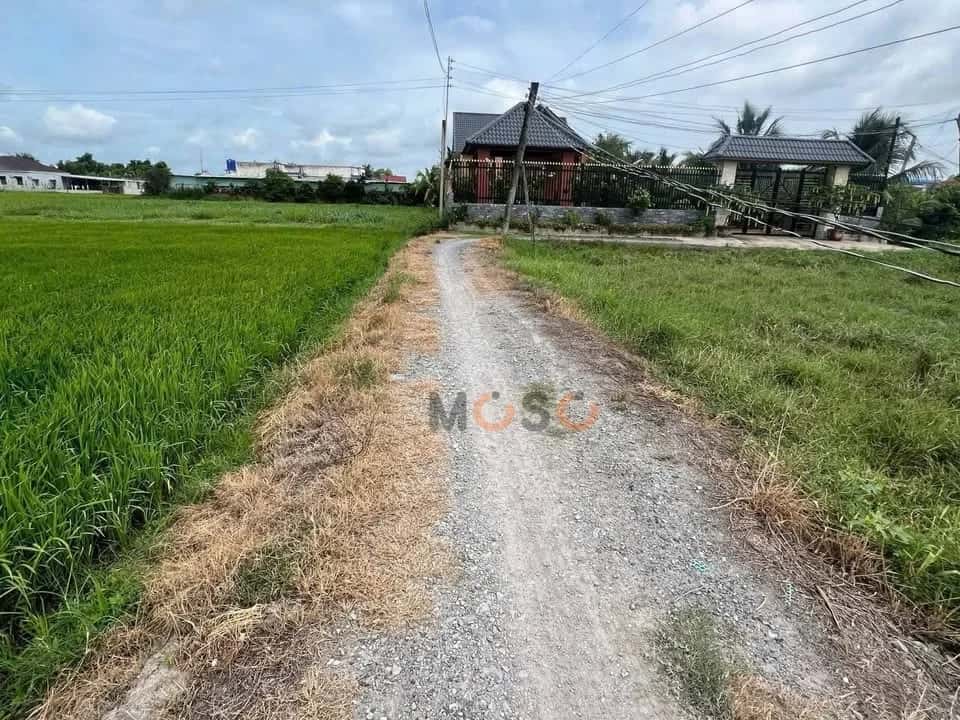 Bán đất ấp Bình Lợi Huyện Đức Hòa, Long An – giá 580 triệu — Hình 3 Bán đất ấp Bình Lợi Huyện Đức Hòa, Long An – giá 580 triệu — Hình 3