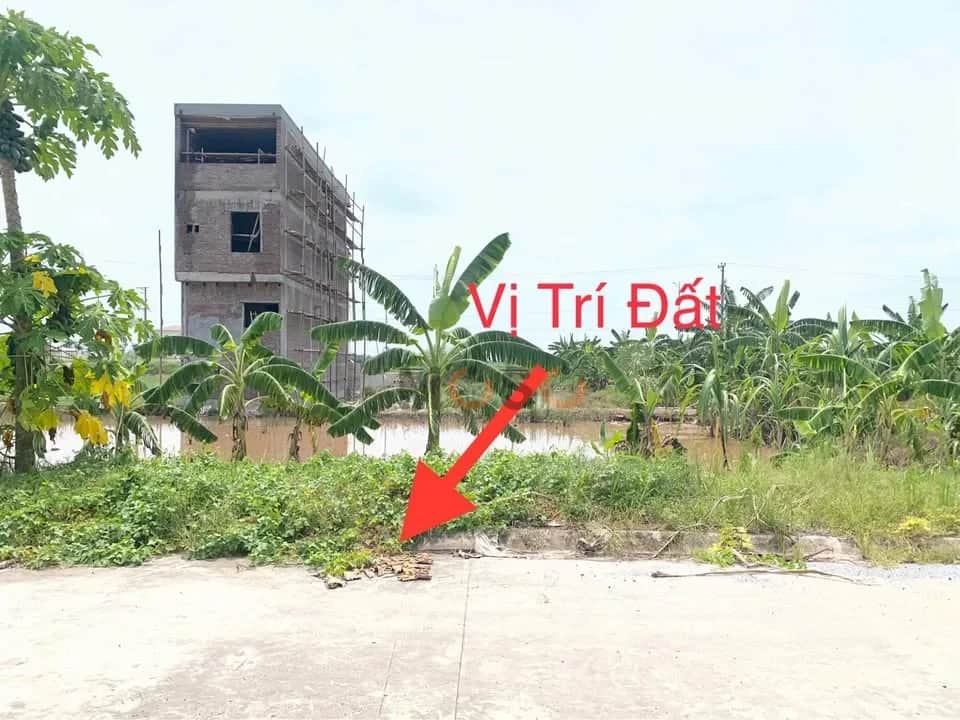 Bán đất Xóm 9 Huyện Kim Sơn, Ninh Bình – giá 1.2 tỷ Bán đất Xóm 9 Huyện Kim Sơn, Ninh Bình – giá 1.2 tỷ