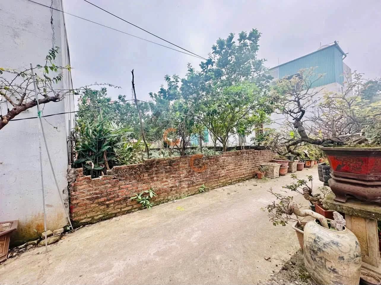 Bán đất Thôn Vĩnh Tuy Huyện Văn Giang, Hưng Yên – giá 2.3 tỷ Bán đất Thôn Vĩnh Tuy Huyện Văn Giang, Hưng Yên – giá 2.3 tỷ