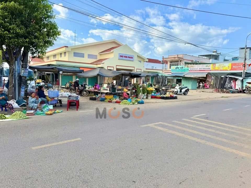 Bán đất thôn Phò Thiện Huyện Diên Khánh, Khánh Hòa – giá 980 triệu — Hình 3 Bán đất thôn Phò Thiện Huyện Diên Khánh, Khánh Hòa – giá 980 triệu — Hình 3
