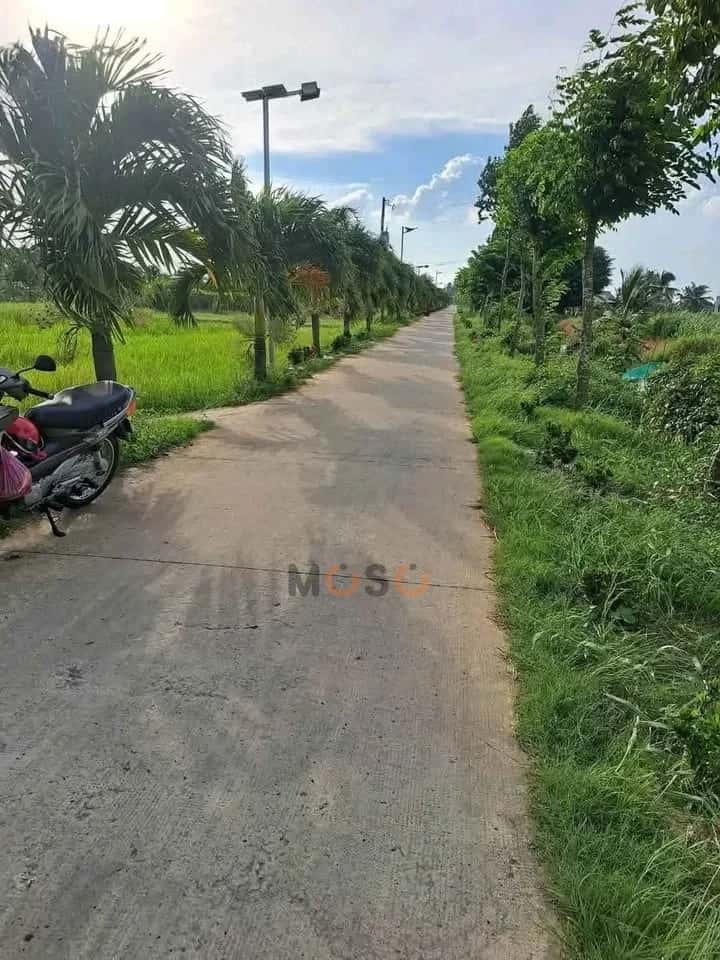 Bán đất Ấp Hòa Điều Huyện Châu Thành, Long An – giá 1.1 tỷ — Hình 3 Bán đất Ấp Hòa Điều Huyện Châu Thành, Long An – giá 1.1 tỷ — Hình 3