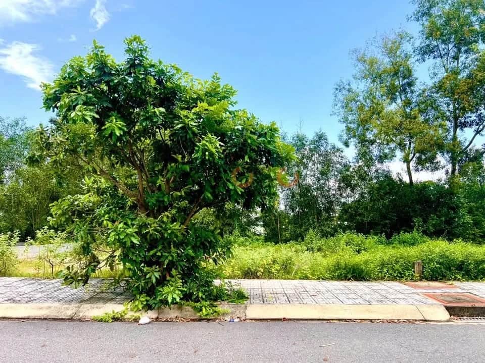 Bán đất hẻm 387 Nguyễn Văn Khạ Huyện Củ Chi, TP.HCM – giá 1.4 tỷ Bán đất hẻm 387 Nguyễn Văn Khạ Huyện Củ Chi, TP.HCM – giá 1.4 tỷ