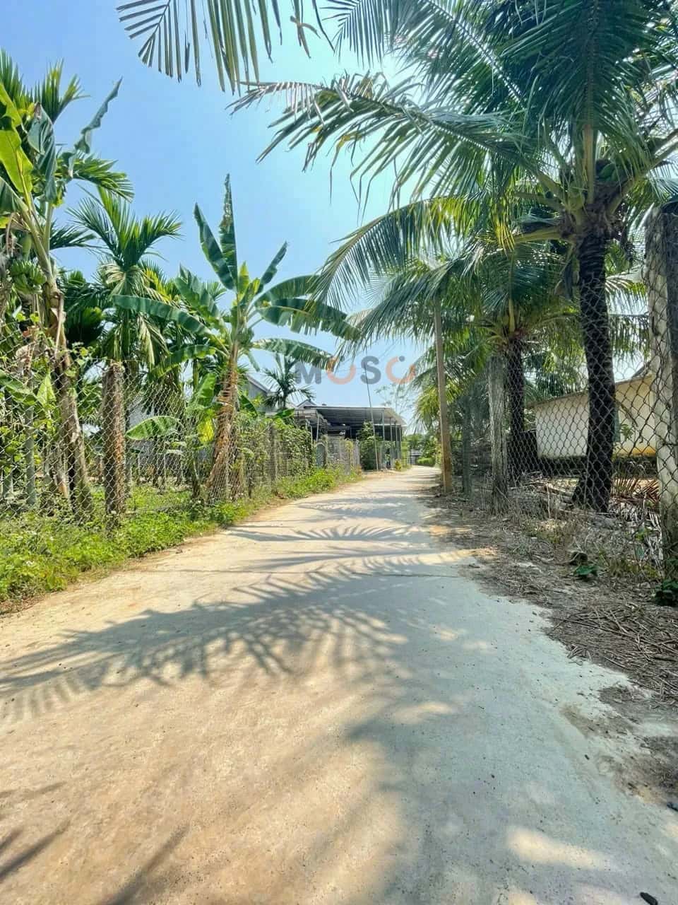 Bán đất Thôn Trường Lộc Thị xã Ninh Hòa, Khánh Hòa – giá 435 triệu — Hình 2 Bán đất Thôn Trường Lộc Thị xã Ninh Hòa, Khánh Hòa – giá 435 triệu — Hình 2