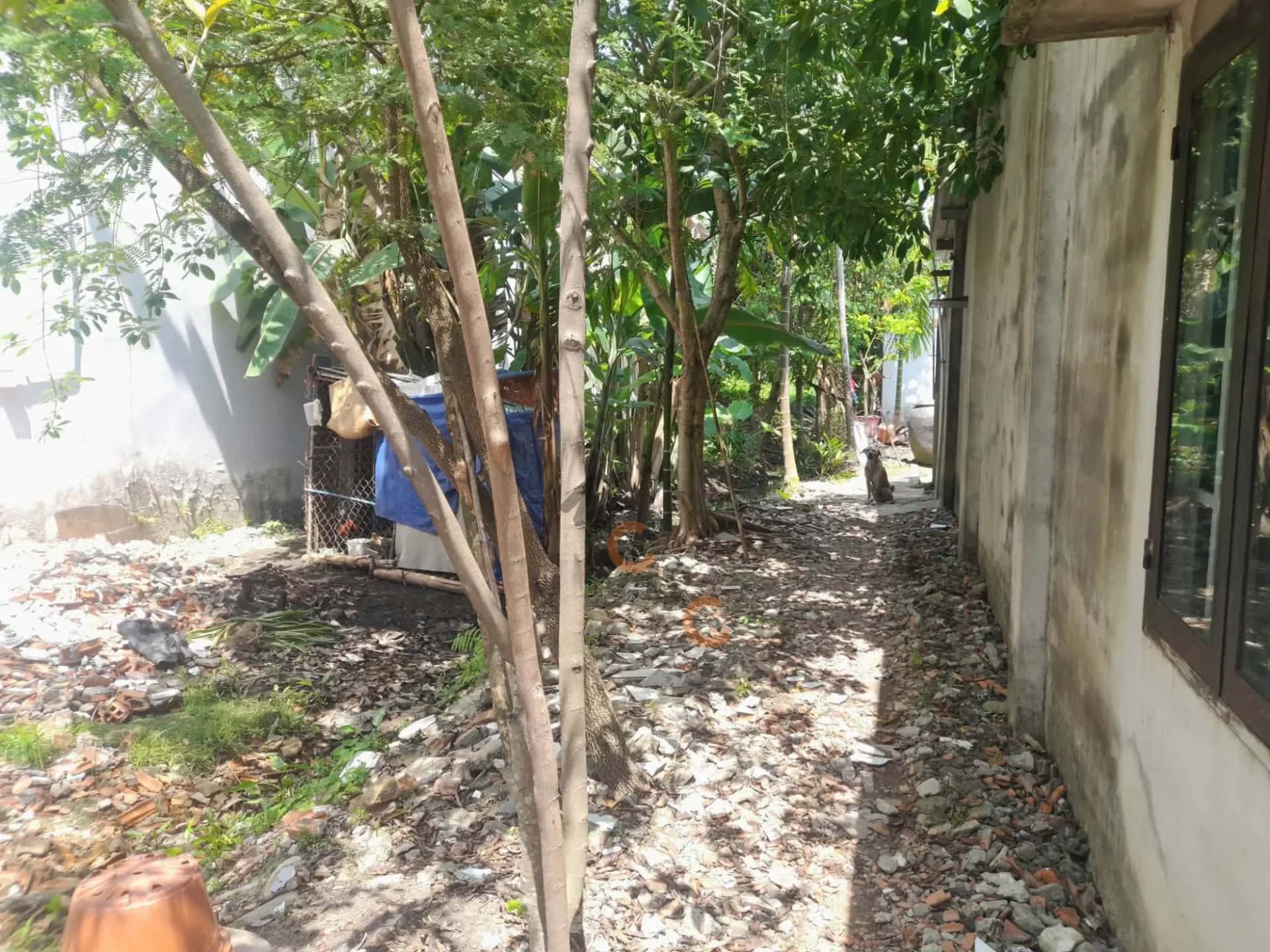 Bán đất hẻm đường Nguyễn Văn Lộng Thành phố Thuận An, Bình Dương – giá 2.6 tỷ — Hình 3 Bán đất hẻm đường Nguyễn Văn Lộng Thành phố Thuận An, Bình Dương – giá 2.6 tỷ — Hình 3