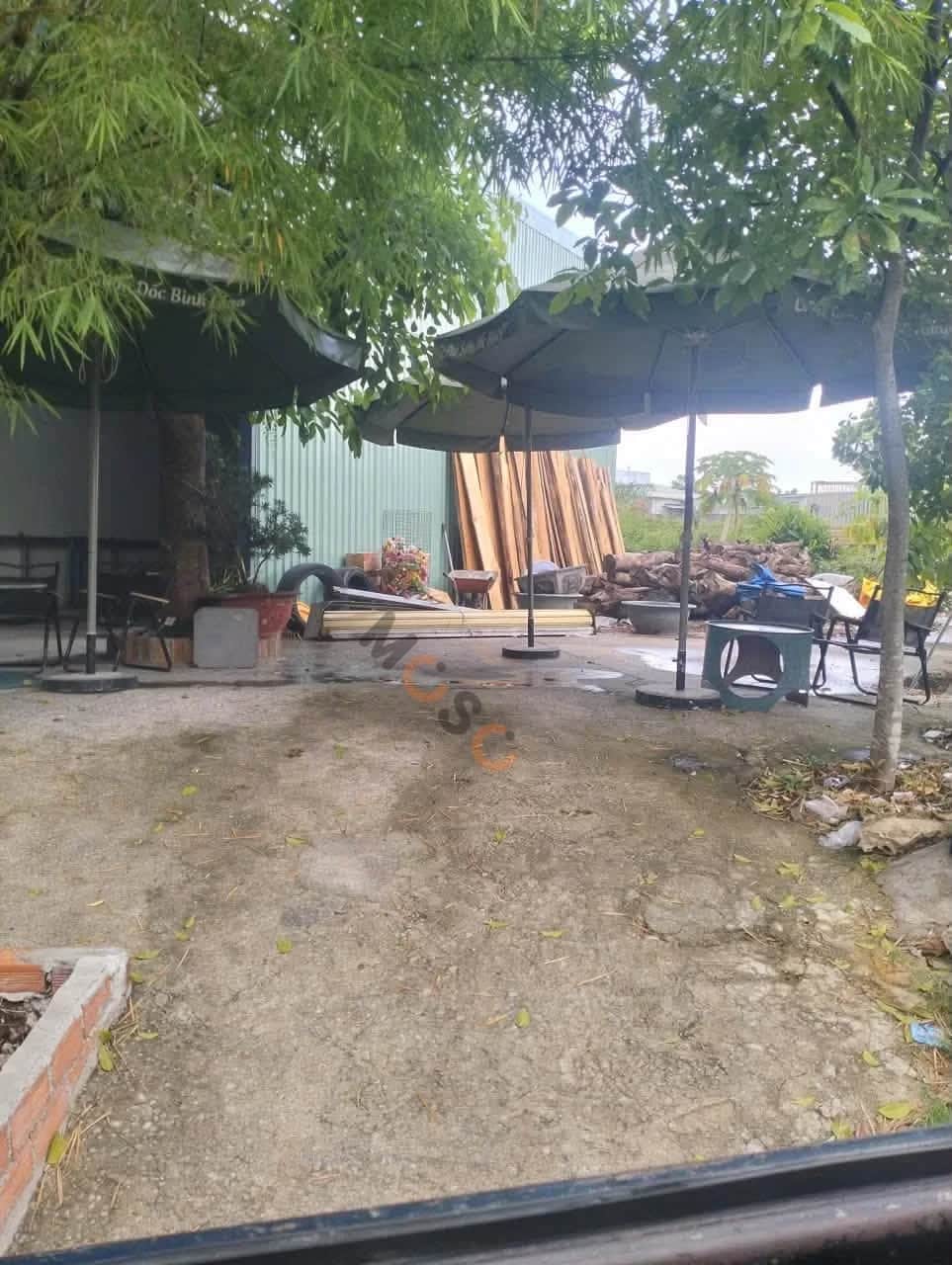 Bán đất Thuận Giao 29 Thành phố Thuận An, Bình Dương – giá 2.9 tỷ Bán đất Thuận Giao 29 Thành phố Thuận An, Bình Dương – giá 2.9 tỷ