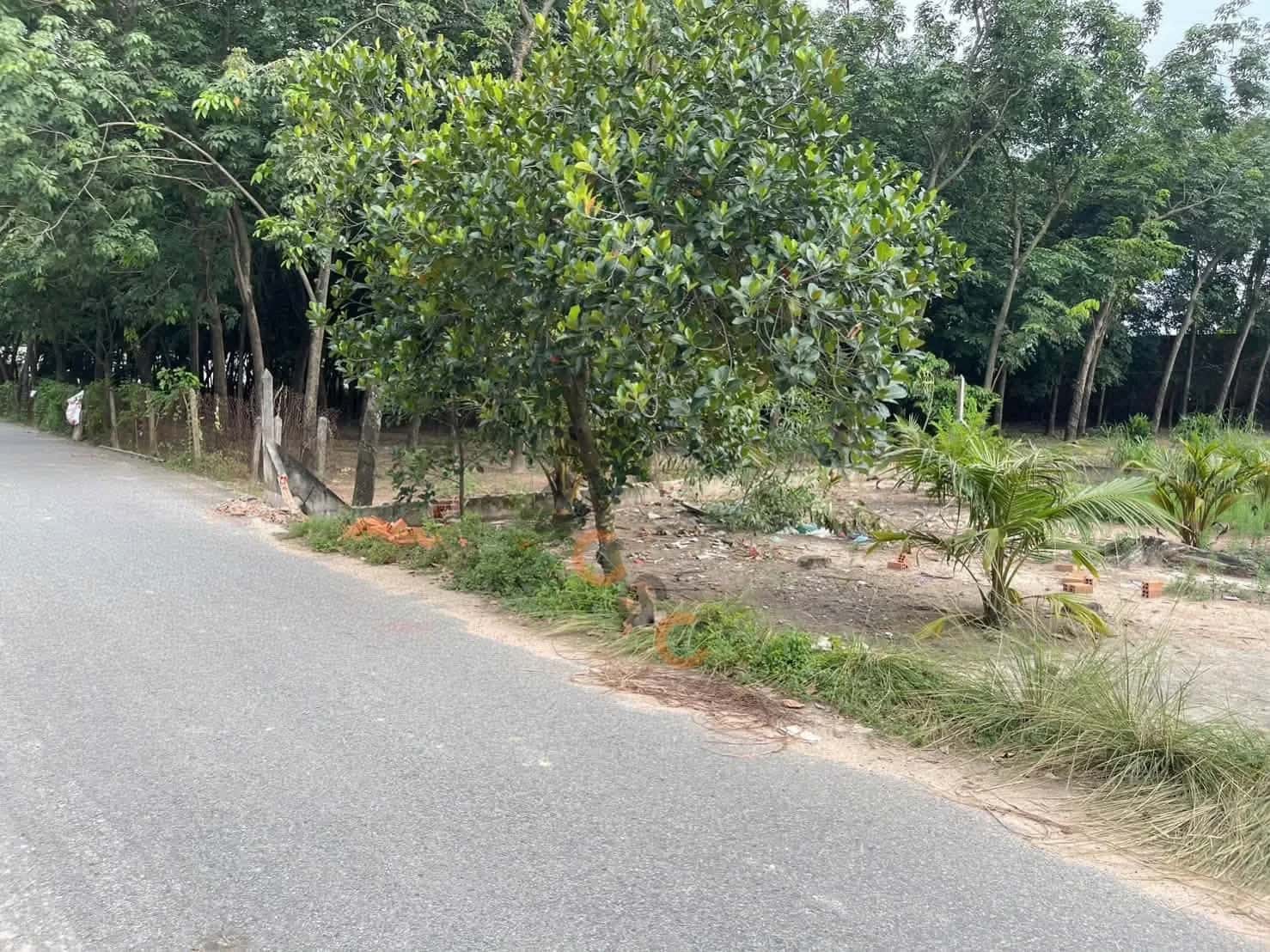 Bán đất hẻm đường ĐT741 Thành phố Bến Cát, Bình Dương – giá 2.4 tỷ — Hình 2 Bán đất hẻm đường ĐT741 Thành phố Bến Cát, Bình Dương – giá 2.4 tỷ — Hình 2