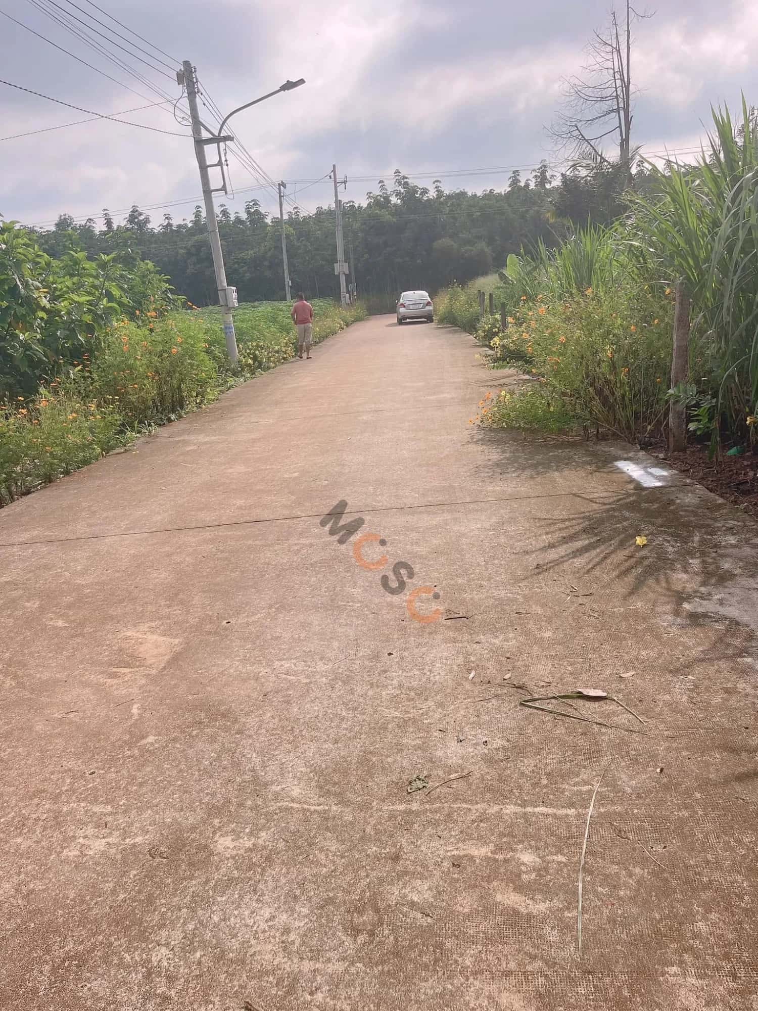 Bán đất Tân Hiệp 15 Huyện Phú Giáo, Bình Dương – giá 820 triệu — Hình 3 Bán đất Tân Hiệp 15 Huyện Phú Giáo, Bình Dương – giá 820 triệu — Hình 3