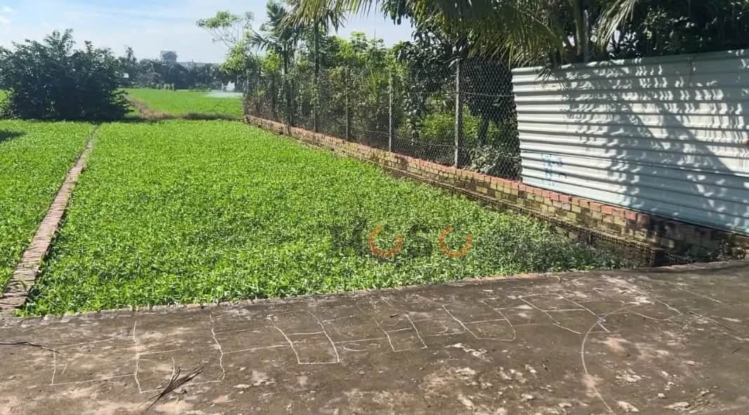 Bán đất đường số 144 Huyện Củ Chi, TP.HCM – giá 2.3 tỷ Bán đất đường số 144 Huyện Củ Chi, TP.HCM – giá 2.3 tỷ