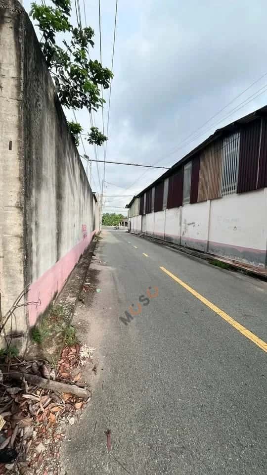 Bán đất đường Hòa Lợi 3 Thành phố Bến Cát, Bình Dương – giá 5 tỷ — Hình 2 Bán đất đường Hòa Lợi 3 Thành phố Bến Cát, Bình Dương – giá 5 tỷ — Hình 2