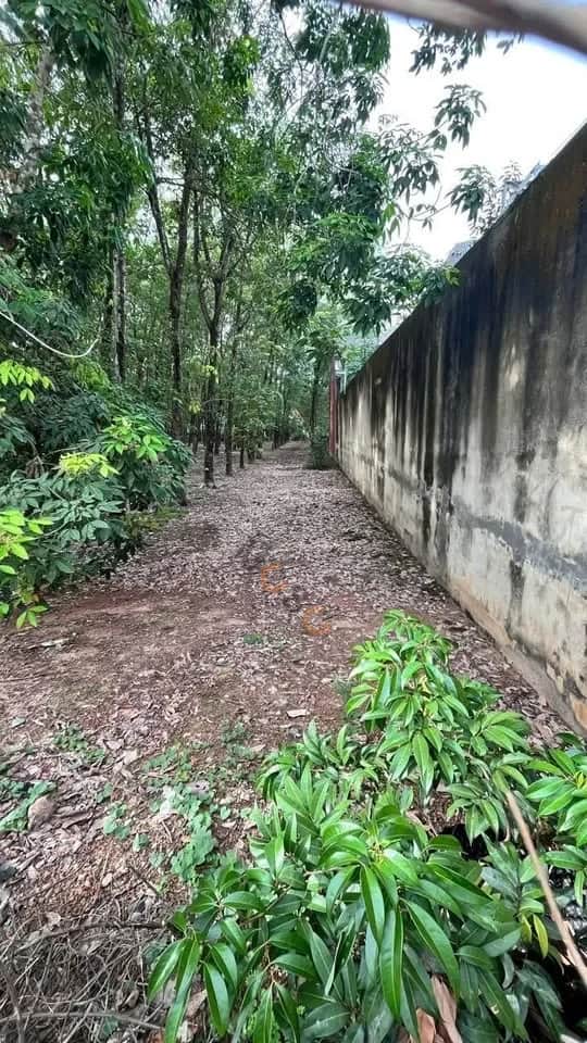 Bán đất đường Hòa Lợi 3 Thành phố Bến Cát, Bình Dương – giá 5 tỷ Bán đất đường Hòa Lợi 3 Thành phố Bến Cát, Bình Dương – giá 5 tỷ