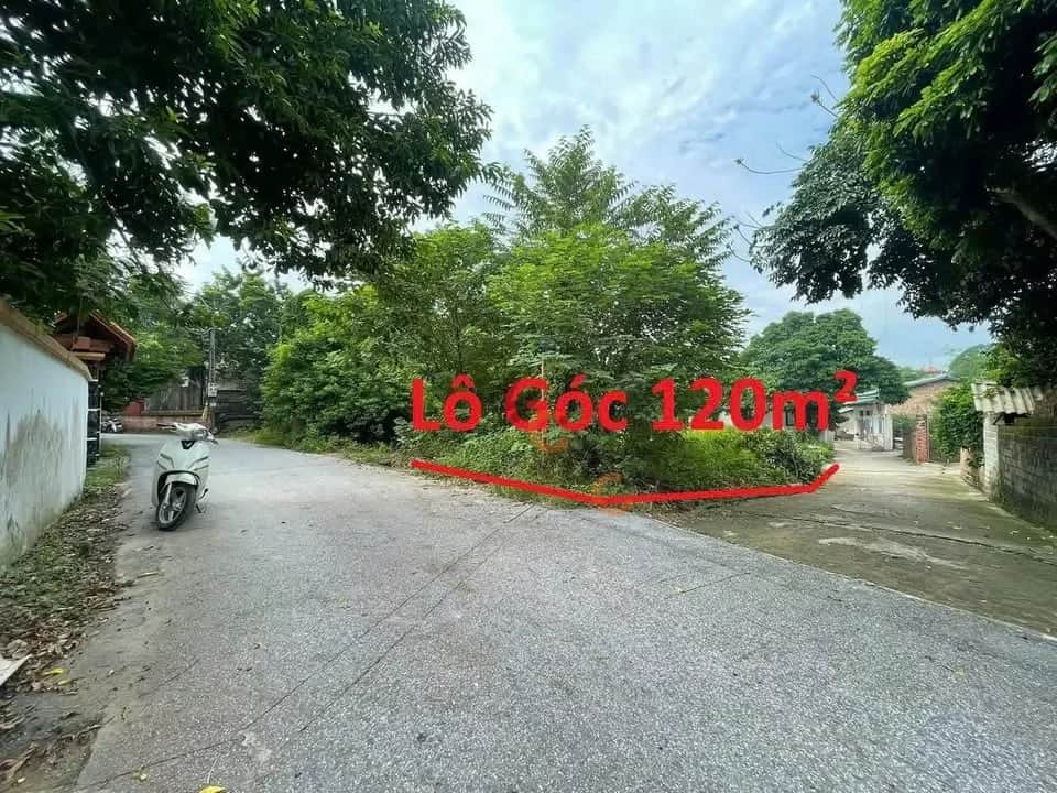 Bán đất TDP Đông Nghĩa Thành phố Vĩnh Yên, Vĩnh Phúc – giá 1.4 tỷ Bán đất TDP Đông Nghĩa Thành phố Vĩnh Yên, Vĩnh Phúc – giá 1.4 tỷ