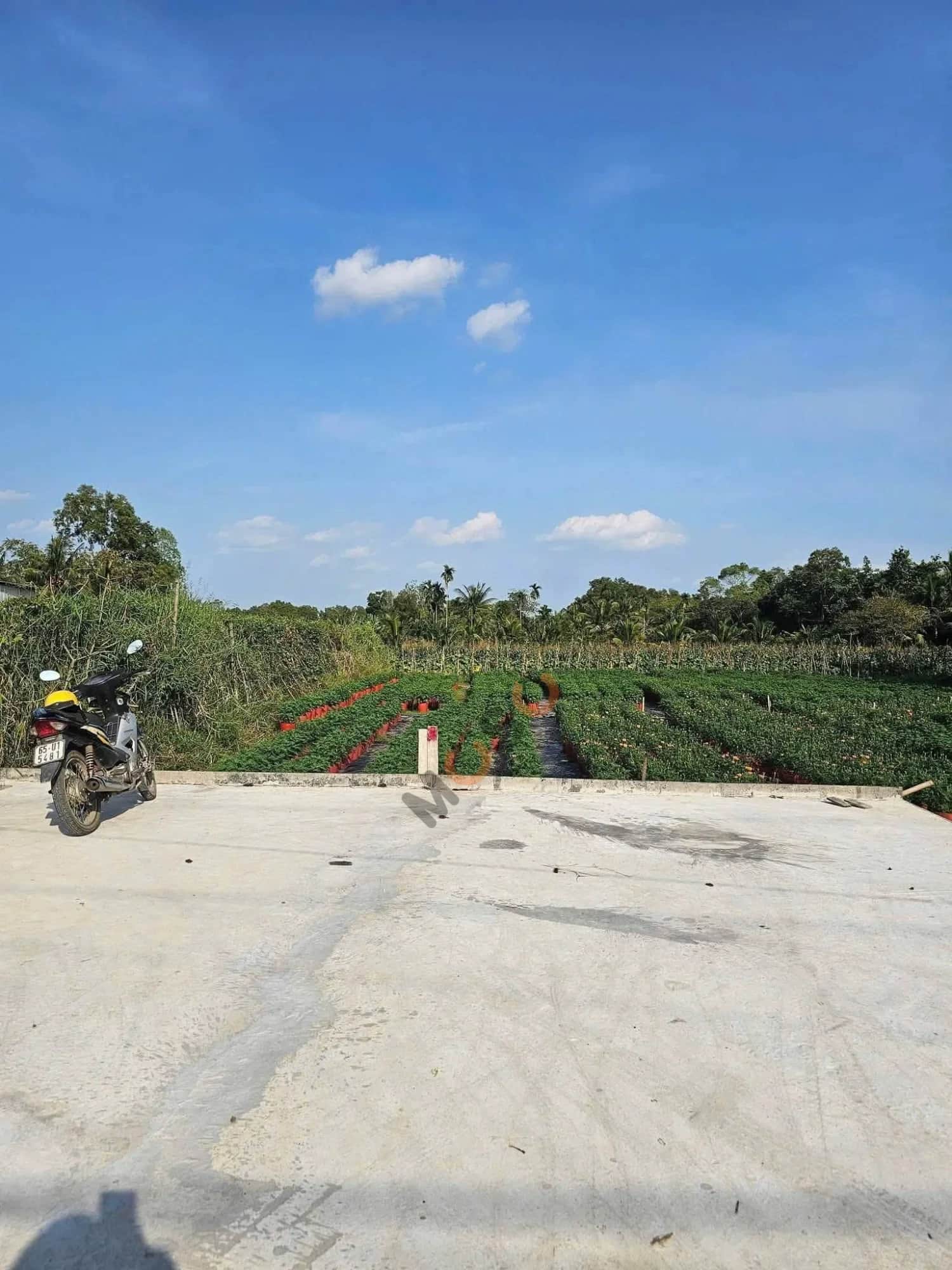 Bán đất Nguyễn Viết Xuân Quận Bình Thuỷ, TP. Cần Thơ – giá 1.4 tỷ Bán đất Nguyễn Viết Xuân Quận Bình Thuỷ, TP. Cần Thơ – giá 1.4 tỷ