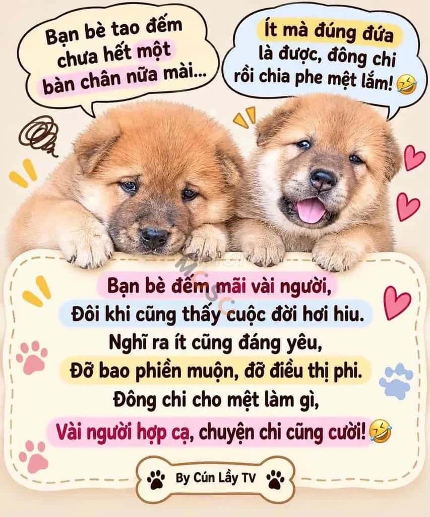 Cho thuê kho, nhà xưởng Đường Nguyễn Thị Tươi Dĩ An, TP.HCM – giá 20 triệu — Hình 2 Cho thuê kho, nhà xưởng Đường Nguyễn Thị Tươi Dĩ An, TP.HCM – giá 20 triệu — Hình 2