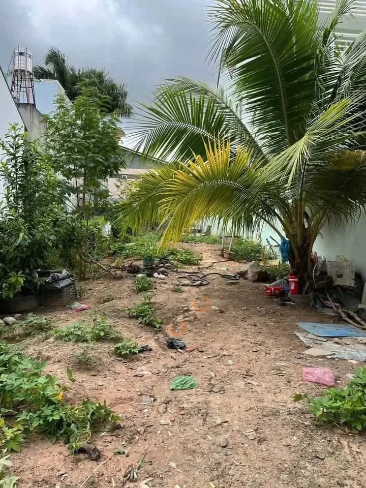 Bán đất Nguyễn Đức Thuận Thành phố Thủ Dầu Một, Bình Dương – giá 6 tỷ — Hình 2 Bán đất Nguyễn Đức Thuận Thành phố Thủ Dầu Một, Bình Dương – giá 6 tỷ — Hình 2