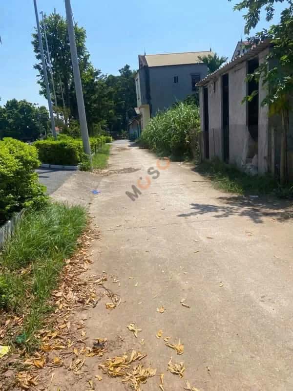 Bán đất Thôn Duy Bình Huyện Vĩnh Tường, Vĩnh Phúc – giá 4.8 tỷ — Hình 2 Bán đất Thôn Duy Bình Huyện Vĩnh Tường, Vĩnh Phúc – giá 4.8 tỷ — Hình 2