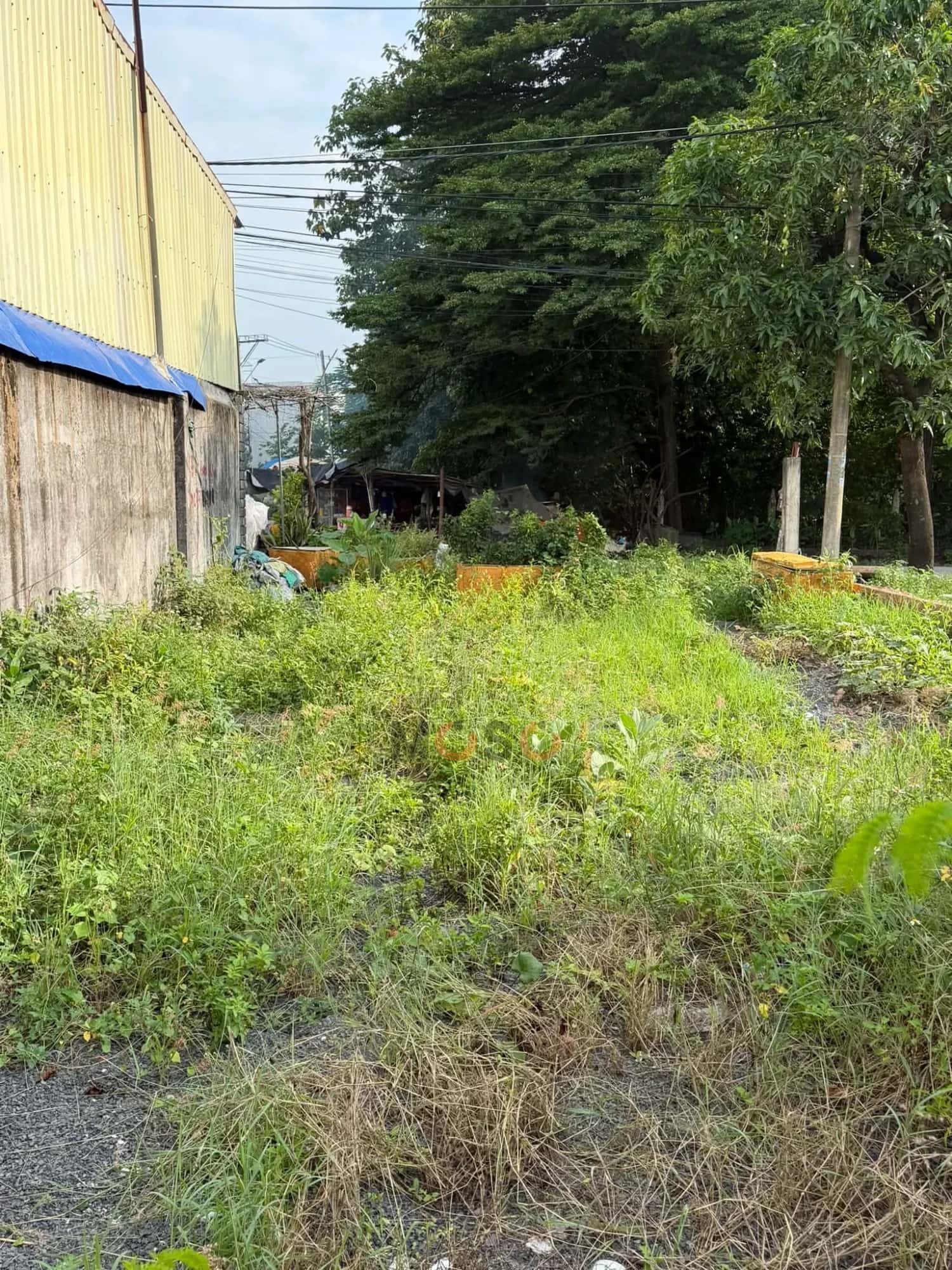 Bán đất Bùi Thị Xuân Thành phố Biên Hòa, Đồng Nai – giá 3.5 tỷ — Hình 3 Bán đất Bùi Thị Xuân Thành phố Biên Hòa, Đồng Nai – giá 3.5 tỷ — Hình 3