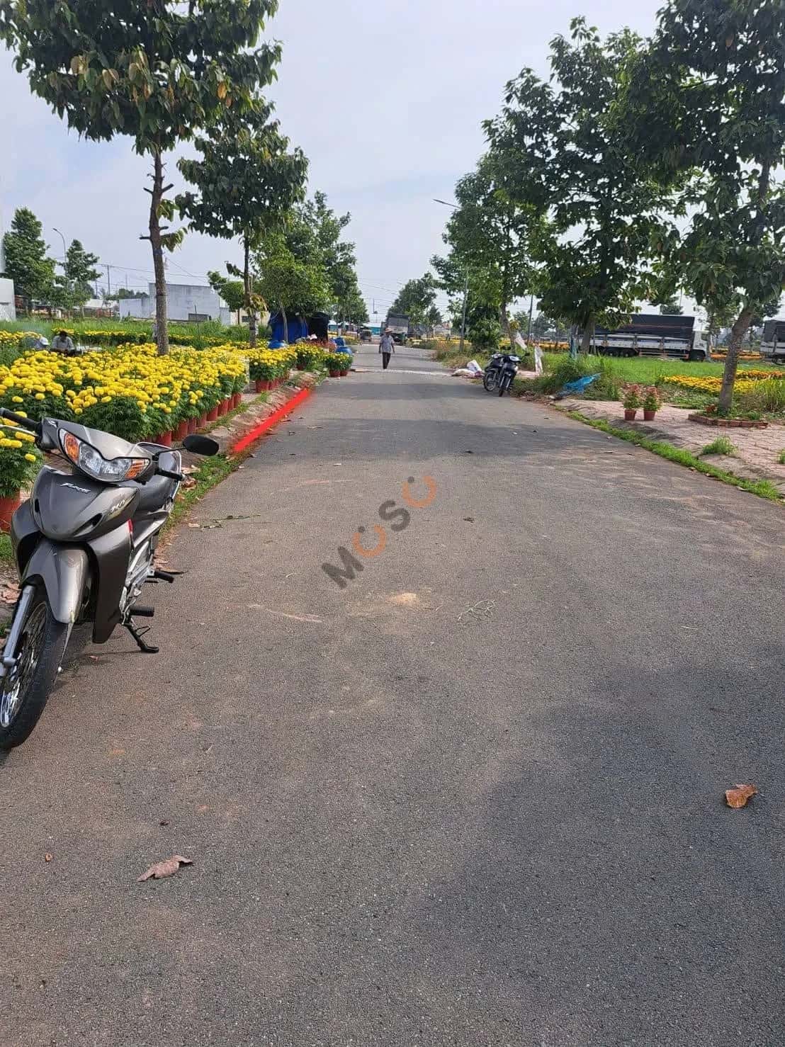Bán đất đường số 4 Huyện Thủ Thừa, Long An – giá 1.6 tỷ — Hình 2 Bán đất đường số 4 Huyện Thủ Thừa, Long An – giá 1.6 tỷ — Hình 2