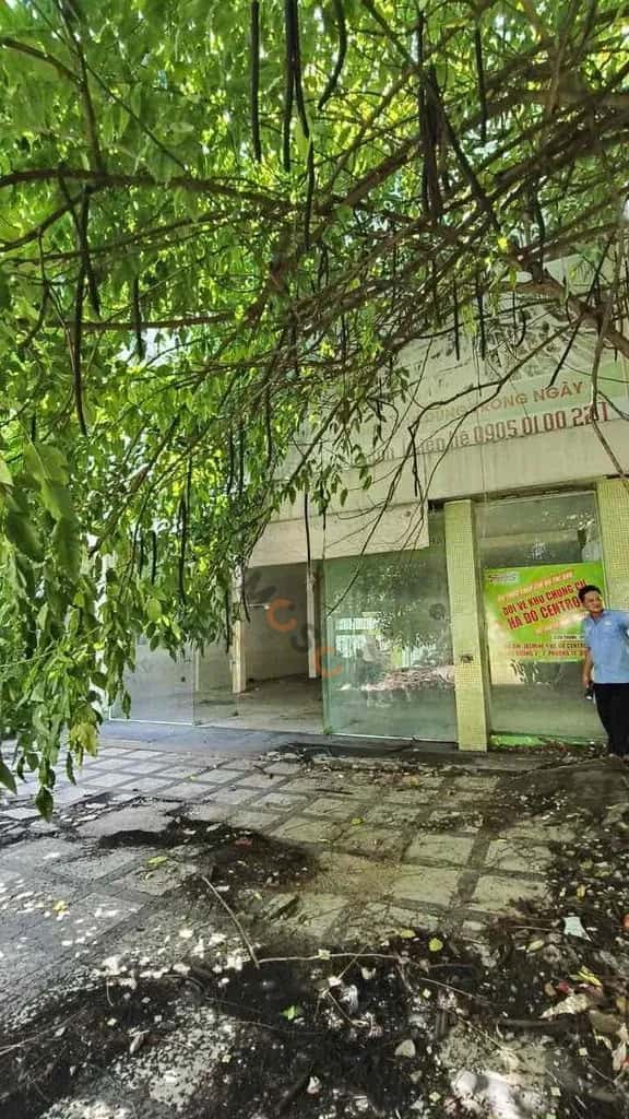 Cho thuê nhà mặt tiền Bà Huyện Thanh Quan Quận 3, TP.HCM – giá 190 triệu — Hình 3 Cho thuê nhà mặt tiền Bà Huyện Thanh Quan Quận 3, TP.HCM – giá 190 triệu — Hình 3
