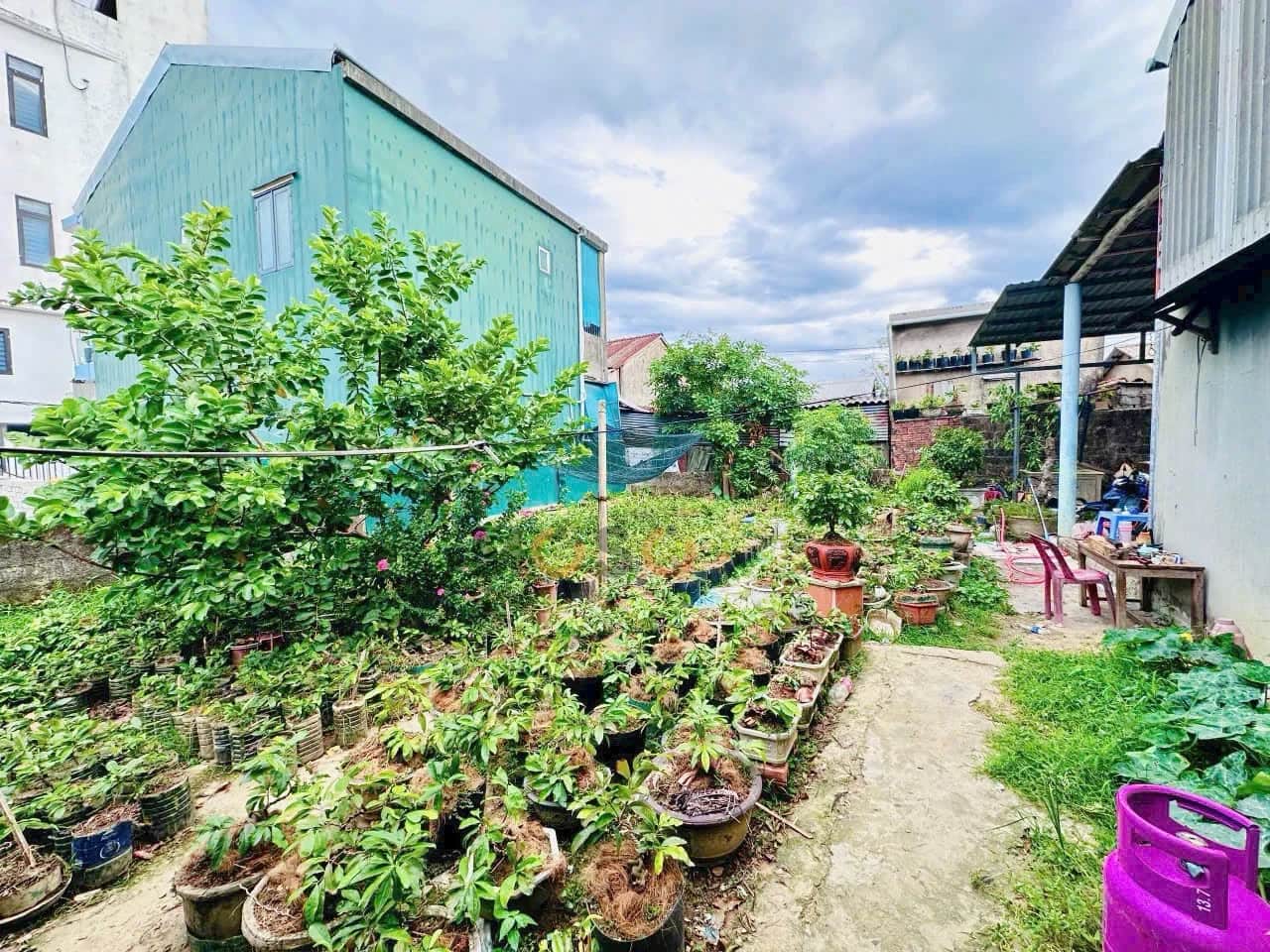 Bán đất Tôn Quang Phiệt Quận Thuận Hóa, TP. Huế – giá 3.1 tỷ Bán đất Tôn Quang Phiệt Quận Thuận Hóa, TP. Huế – giá 3.1 tỷ