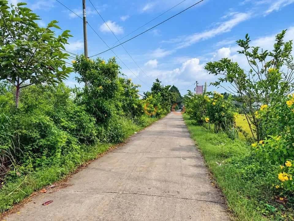 Bán đất Lê Minh Xuân Thành phố Tân An, Long An – giá 980 triệu — Hình 2 Bán đất Lê Minh Xuân Thành phố Tân An, Long An – giá 980 triệu — Hình 2