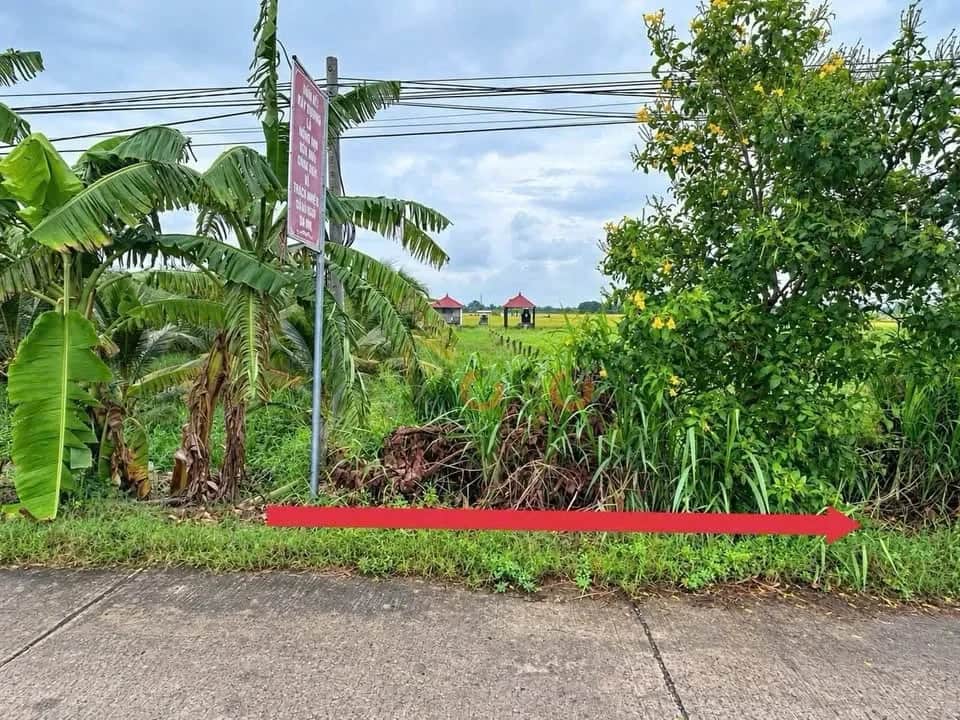 Bán đất Lê Minh Xuân Thành phố Tân An, Long An – giá 980 triệu Bán đất Lê Minh Xuân Thành phố Tân An, Long An – giá 980 triệu