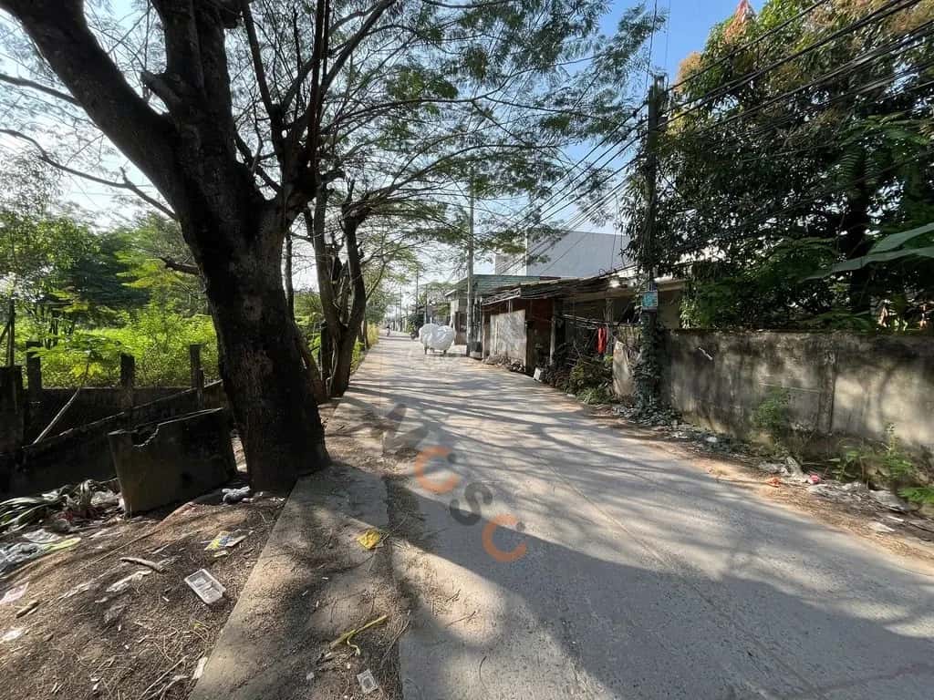 Bán đất đường 6A Huyện Bình Chánh, TP.HCM – giá 5.8 tỷ — Hình 3 Bán đất đường 6A Huyện Bình Chánh, TP.HCM – giá 5.8 tỷ — Hình 3