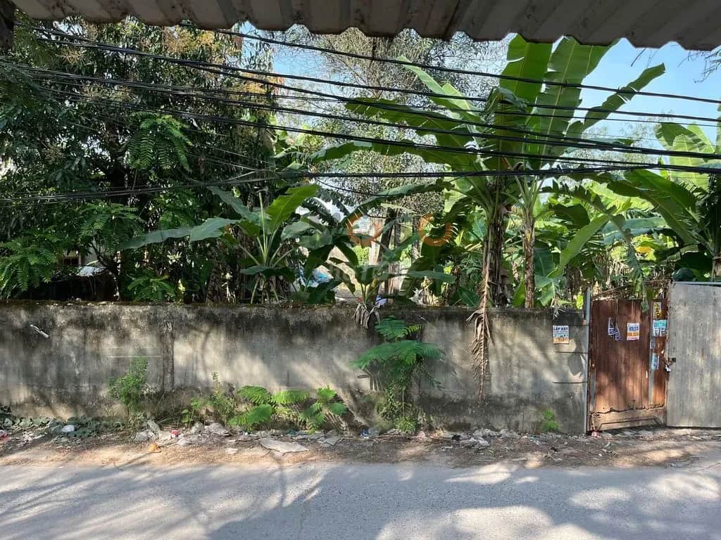 Bán đất đường 6A Huyện Bình Chánh, TP.HCM – giá 5.8 tỷ Bán đất đường 6A Huyện Bình Chánh, TP.HCM – giá 5.8 tỷ