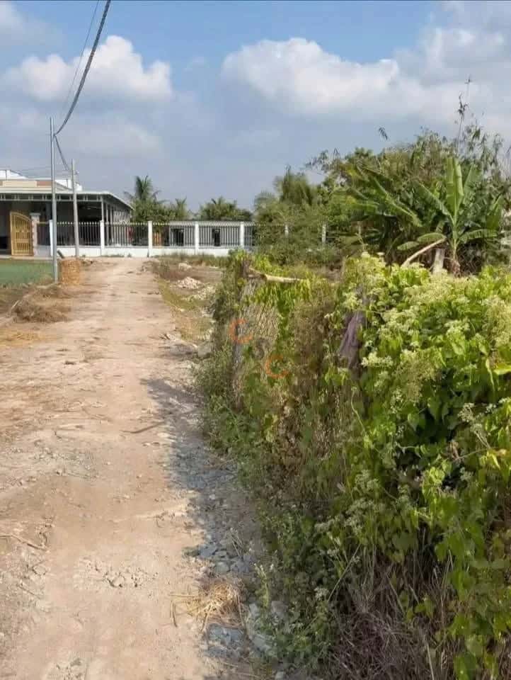 Bán đất Ấp Lộc Hậu Huyện Cần Giuộc, Long An – giá 2 tỷ — Hình 2 Bán đất Ấp Lộc Hậu Huyện Cần Giuộc, Long An – giá 2 tỷ — Hình 2