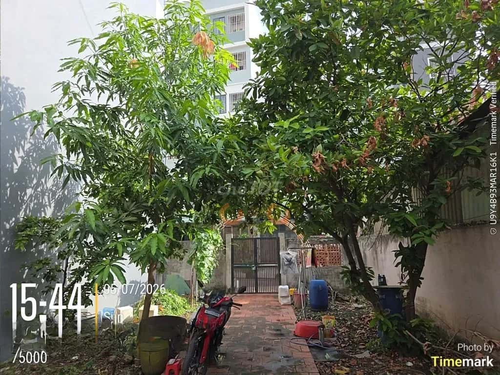 Bán nhà hẻm Tân Hòa Thành phố Dĩ An, Bình Dương – 2 phòng ngủ, giá 12.8 tỷ — Hình 2 Bán nhà hẻm Tân Hòa Thành phố Dĩ An, Bình Dương – 2 phòng ngủ, giá 12.8 tỷ — Hình 2