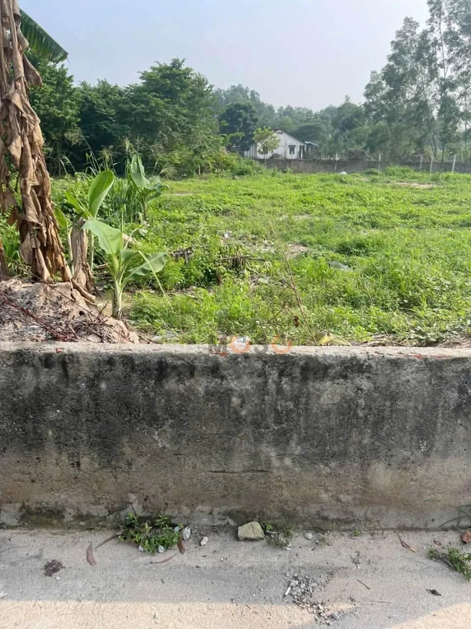 Bán đất Phú An 47 Thành phố Bến Cát, Bình Dương – giá 2.8 tỷ Bán đất Phú An 47 Thành phố Bến Cát, Bình Dương – giá 2.8 tỷ