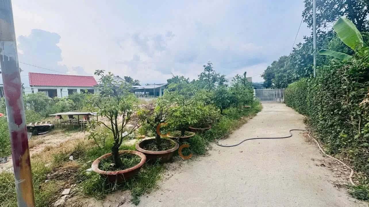 Bán đất Thôn Trung Nam Huyện Diên Khánh, Khánh Hòa – giá 1.3 tỷ — Hình 2 Bán đất Thôn Trung Nam Huyện Diên Khánh, Khánh Hòa – giá 1.3 tỷ — Hình 2