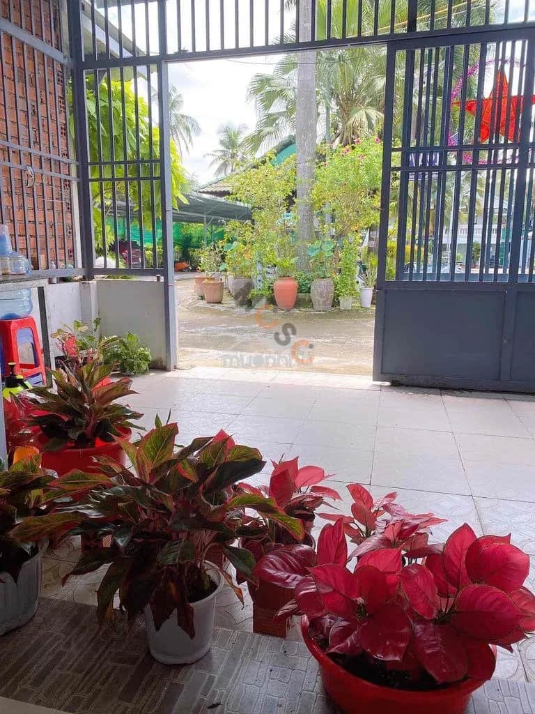Cho thuê phòng trọ Đường 12 Phương Trường Thọ Quận 9 cũ, TP.HCM – 1 phòng ngủ, giá 1 triệu Cho thuê phòng trọ Đường 12 Phương Trường Thọ Quận 9 cũ, TP.HCM – 1 phòng ngủ, giá 1 triệu
