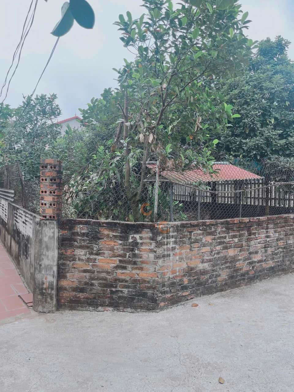 Bán đất Thôn Phù Chính Huyện Vĩnh Tường, Vĩnh Phúc – giá 3.8 tỷ — Hình 2 Bán đất Thôn Phù Chính Huyện Vĩnh Tường, Vĩnh Phúc – giá 3.8 tỷ — Hình 2