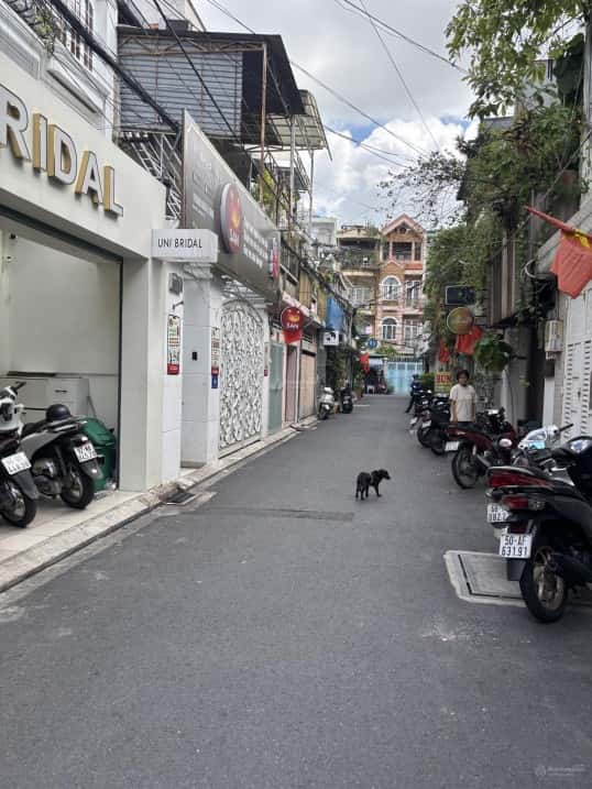 Bán nhà hẻm Nguyễn Trọng Tuyển Quận Phú Nhuận, TP.HCM – giá 29 tỷ Bán nhà hẻm Nguyễn Trọng Tuyển Quận Phú Nhuận, TP.HCM – giá 29 tỷ