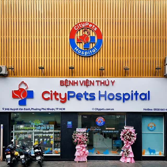 Bán nhà mặt tiền Huỳnh Văn Bánh Quận Phú Nhuận, TP.HCM – giá 30 tỷ Bán nhà mặt tiền Huỳnh Văn Bánh Quận Phú Nhuận, TP.HCM – giá 30 tỷ