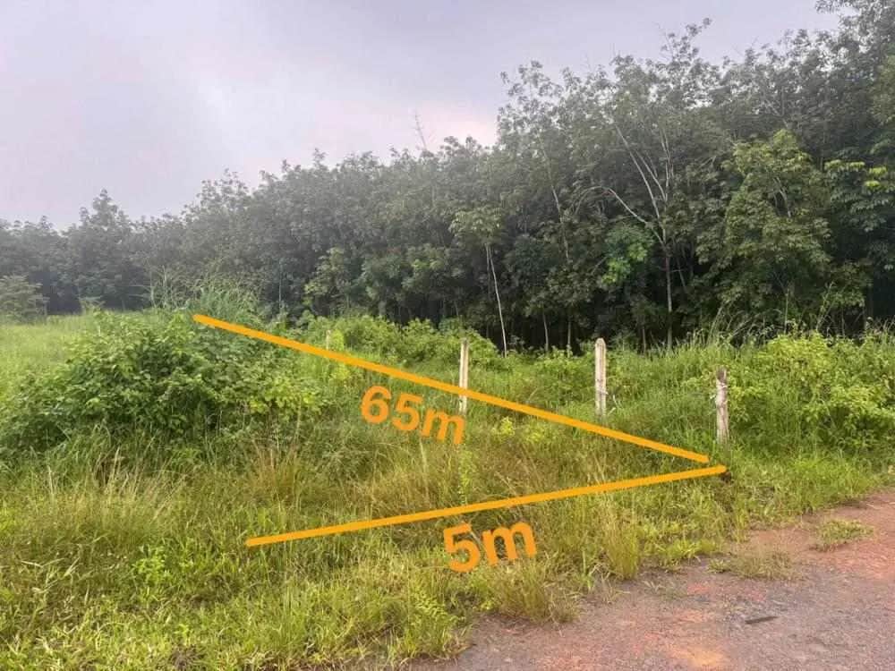 Bán đất Thị xã Bến Cát, Bình Dương – giá 1.4 tỷ Bán đất Thị xã Bến Cát, Bình Dương – giá 1.4 tỷ