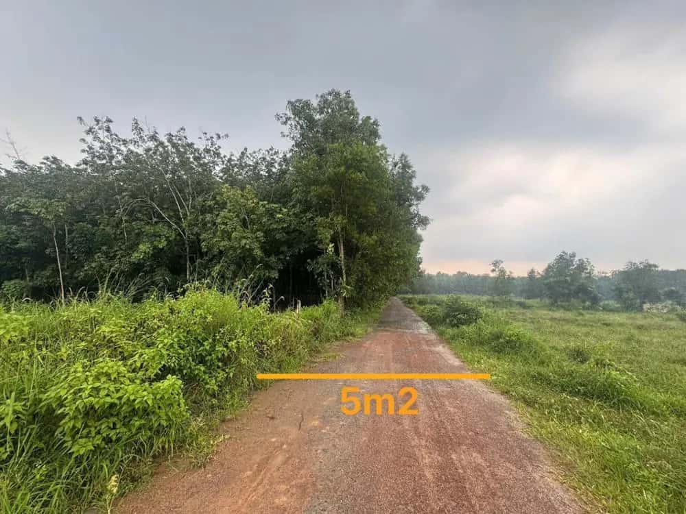 Bán đất Thị xã Bến Cát, Bình Dương – giá 1.4 tỷ — Hình 2 Bán đất Thị xã Bến Cát, Bình Dương – giá 1.4 tỷ — Hình 2