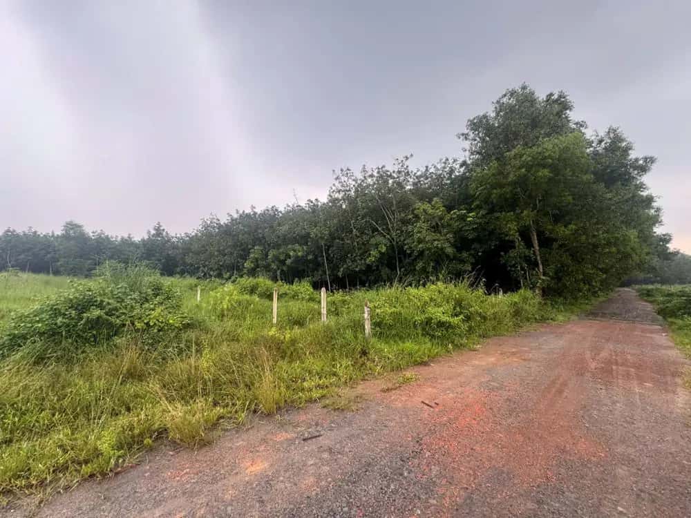 Bán đất Thị xã Bến Cát, Bình Dương – giá 1.4 tỷ — Hình 3 Bán đất Thị xã Bến Cát, Bình Dương – giá 1.4 tỷ — Hình 3