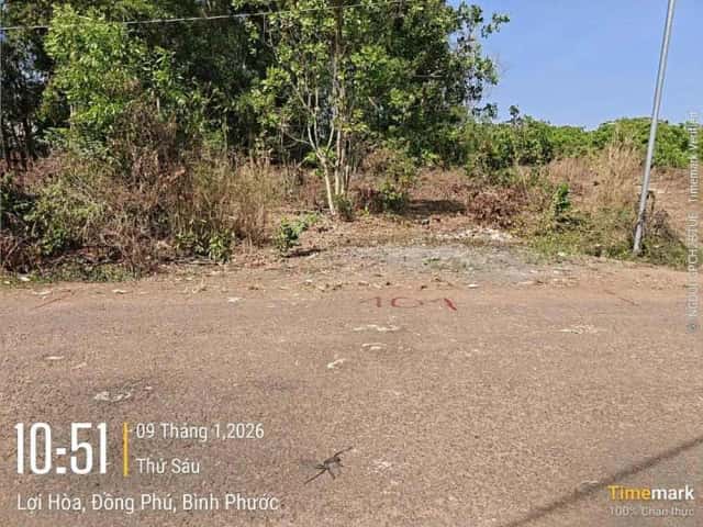 Bán đất Huyện Đồng Phú, Bình Phước – giá 363.6 triệu Bán đất Huyện Đồng Phú, Bình Phước – giá 363.6 triệu