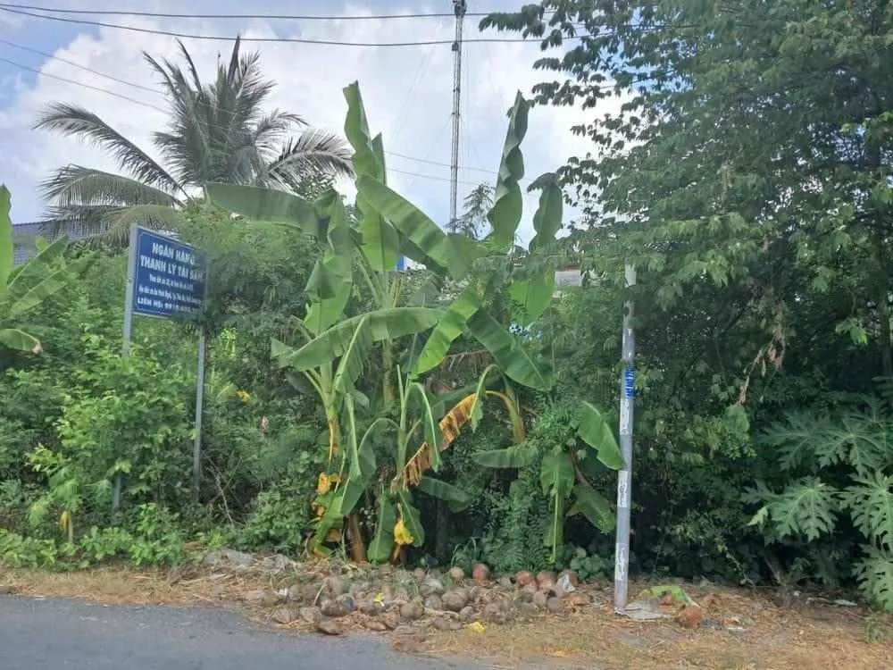 Bán đất Thành phố Tân An, Long An – giá 3.4 tỷ Bán đất Thành phố Tân An, Long An – giá 3.4 tỷ